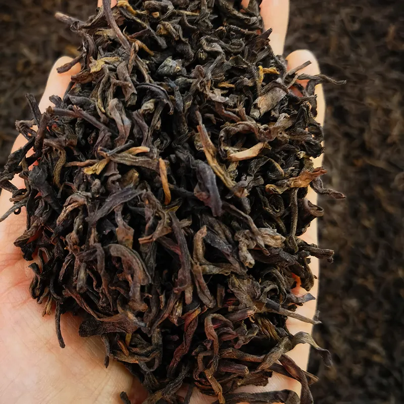 Выдержанный рассыпной чай пятого уровня 2025 года 50 тонн (1)