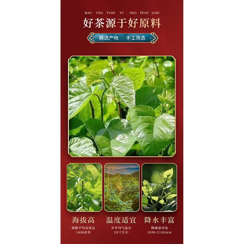 Чай «Лунчжу» из листьев тутового дерева и мяты серии ГАБА «Цзяелун» с гамма-аминомасляной кислотой 500 г (3)